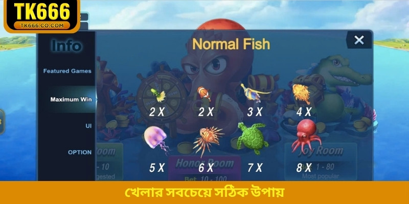 খেলার সবচেয়ে সঠিক উপায়