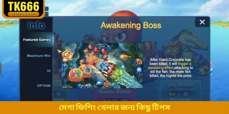 মেগা ফিশিং খেলার জন্য কিছু টিপস