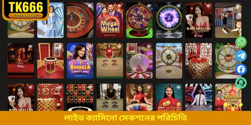 লাইভ ক্যাসিনো সেকশনের পরিচিতি