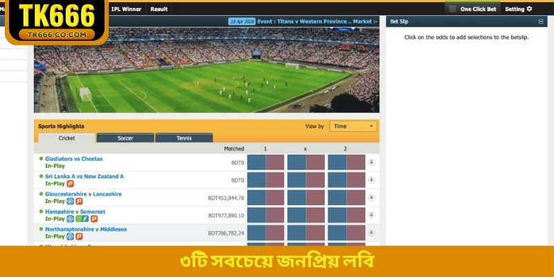 ৩টি সবচেয়ে জনপ্রিয় লবি